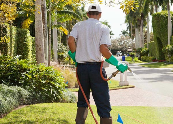 About Birmingham MI Pest Control